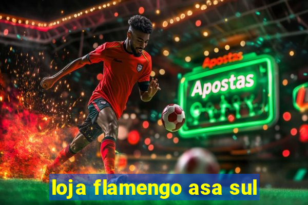 loja flamengo asa sul