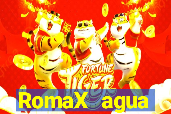 RomaX agua sanitaria fispq agua sanitaria romax