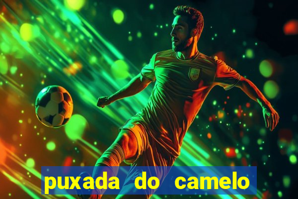 puxada do camelo no jogo do bicho