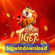 bigwindownload