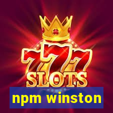 npm winston